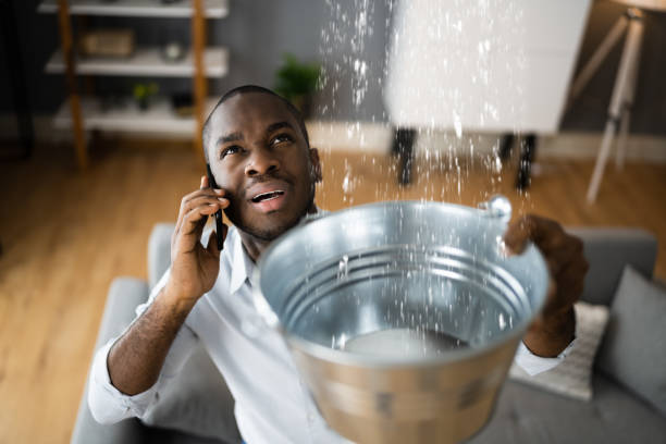 Best Flood restoration services  in Lakeland, GA