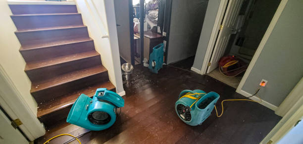 Best 24/7 water damage repair  in Lakeland, GA