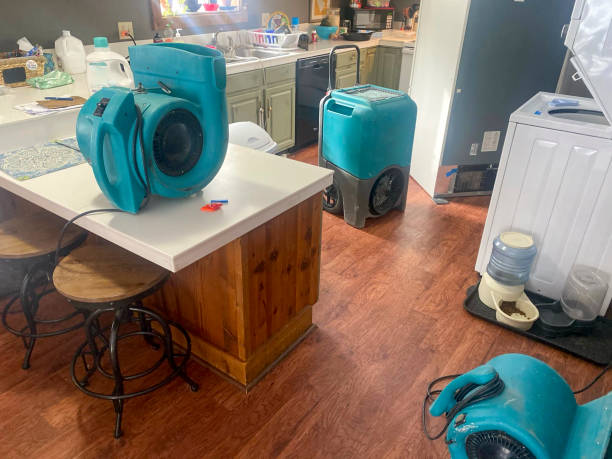 Best Local water damage restoration  in Lakeland, GA