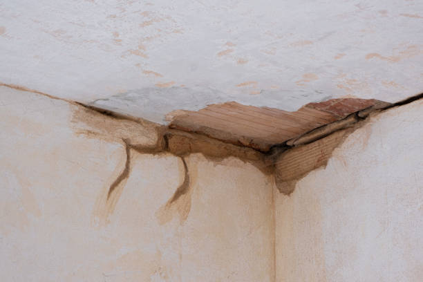 Best Water damage restoration company  in Lakeland, GA