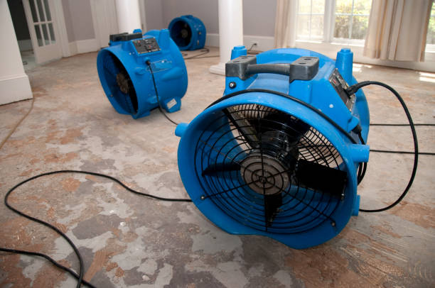 Best Professional water damage repair  in Lakeland, GA