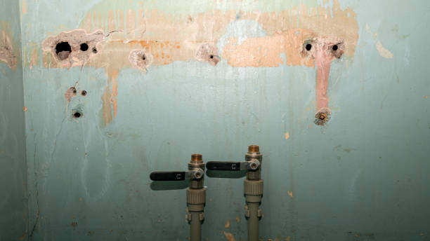 Best Ceiling water damage repair  in Lakeland, GA
