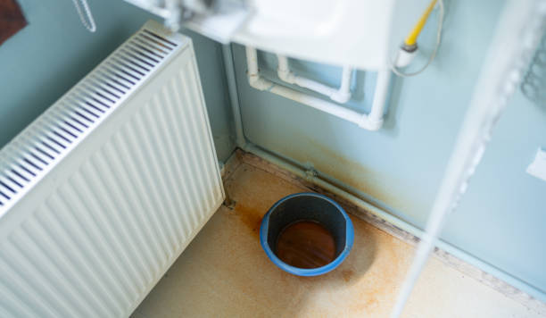 Best Carpet water damage restoration  in Lakeland, GA