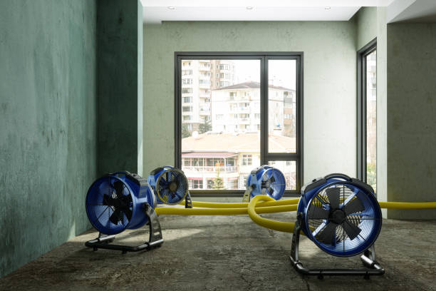 Best Mold removal after water damage  in Lakeland, GA